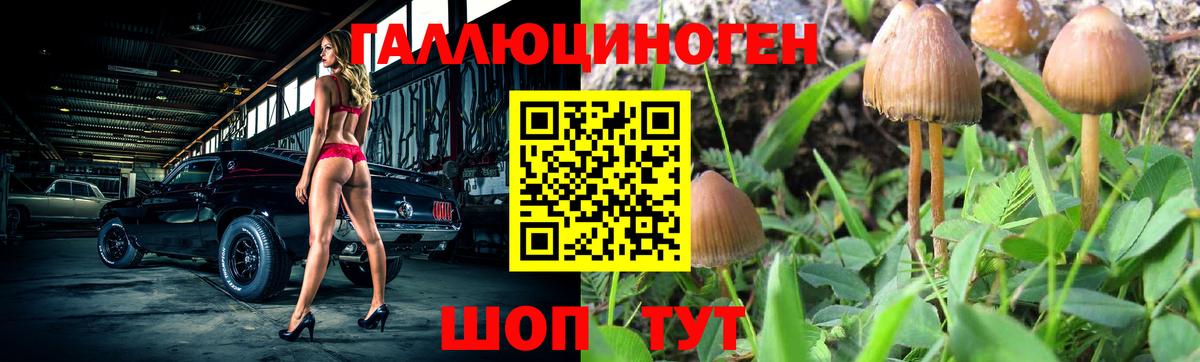купить наркотик  Галлюциногенные грибы GOLDEN TEACHER  Вход с VPN  Надым 