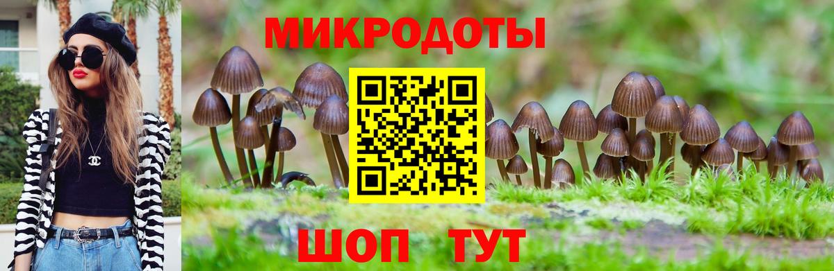 Псилоцибиновые грибы MAGIC MUSHROOMS Надым