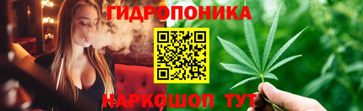 Бошки Шишки сатива Надым